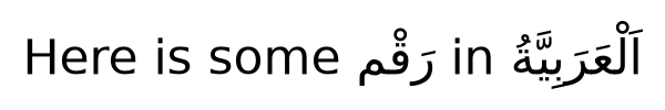 The mixed-language text 'Here is some رَقْم in اَلْعَرَبِيَّةُ'.